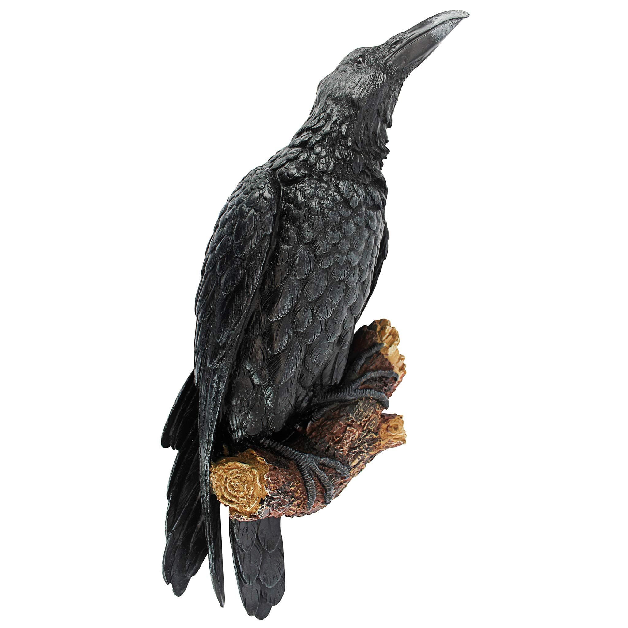 Design Toscano The Raven's Perch Halloween Gothic Decor Wall Sculpture, 46 cm, Polyresin, Full Color