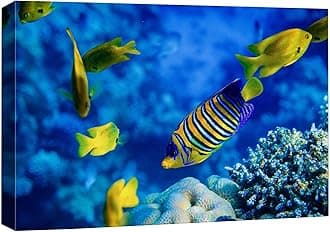 wall26 Canvas Print Wall Art Striped Yellow Tropical Fish Coral Reef Sea Nature Animals Photography Realism Rustic Scenic Landscape Wilderness Colorful for Living Room, Bedroom, Office - 32"x48"