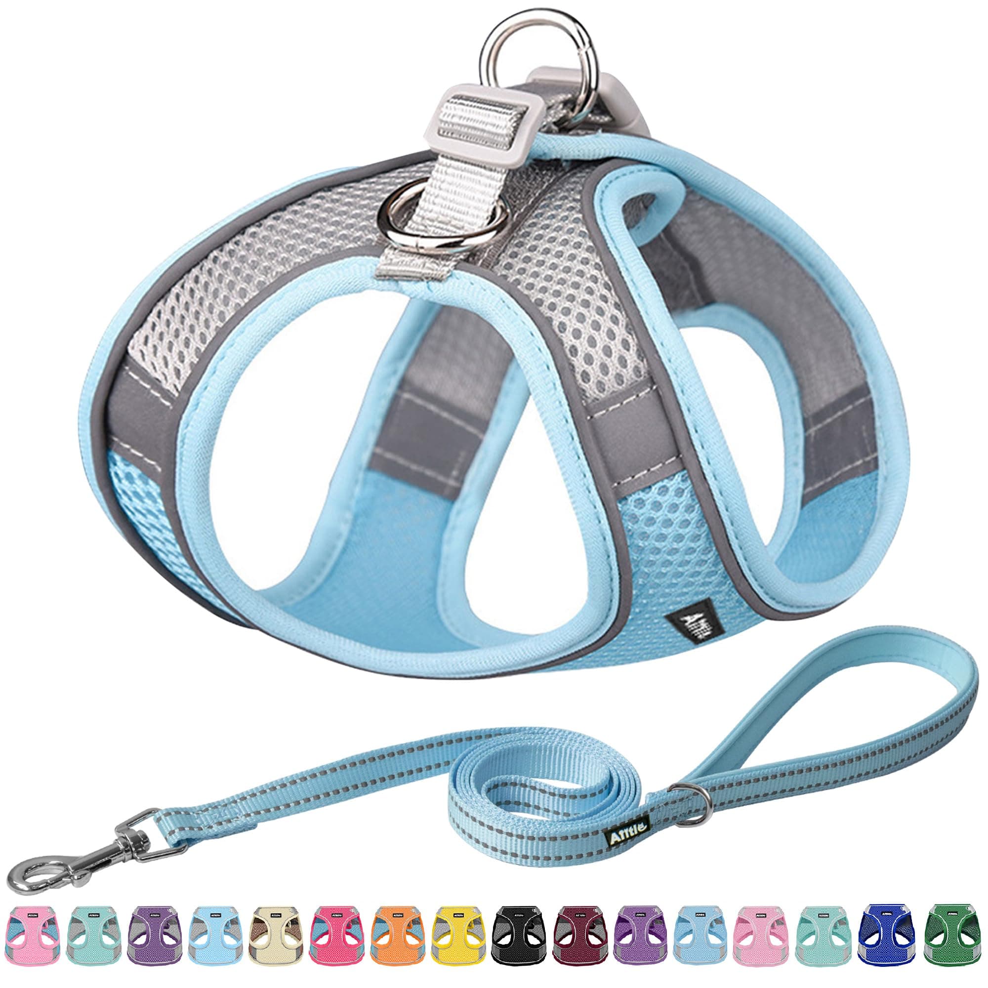 AIITLE Small Dog Harness with Leash, Breathable Mesh Vest, Reflective No-Pull Pet Harness for Outdoor Walking, Camping for Small Dogs, Cats, Blue XXS