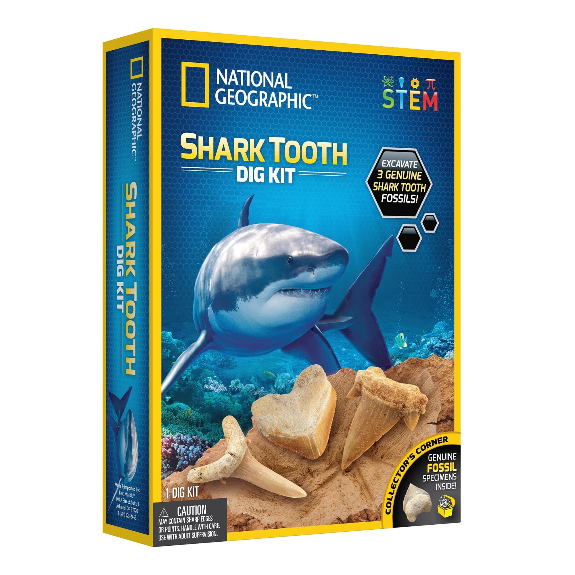 National Geographic Shark Tooth Dig Kit, Multi Color