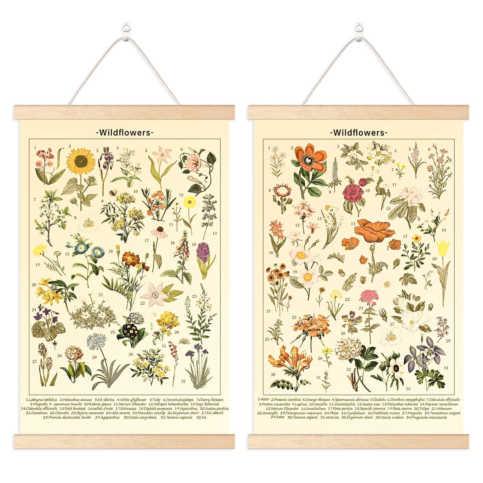 Chenkaiyang 2 Pcs Vintage Hanging Poster,Flowers Wall Hanging Botanical Rustic Retro Wall Art Prints Flower Chart Posterfor Living Room Decor,12.7 X 21.6 Inch