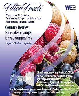 FilterFresh Whole Home Country Berry Air Freshener