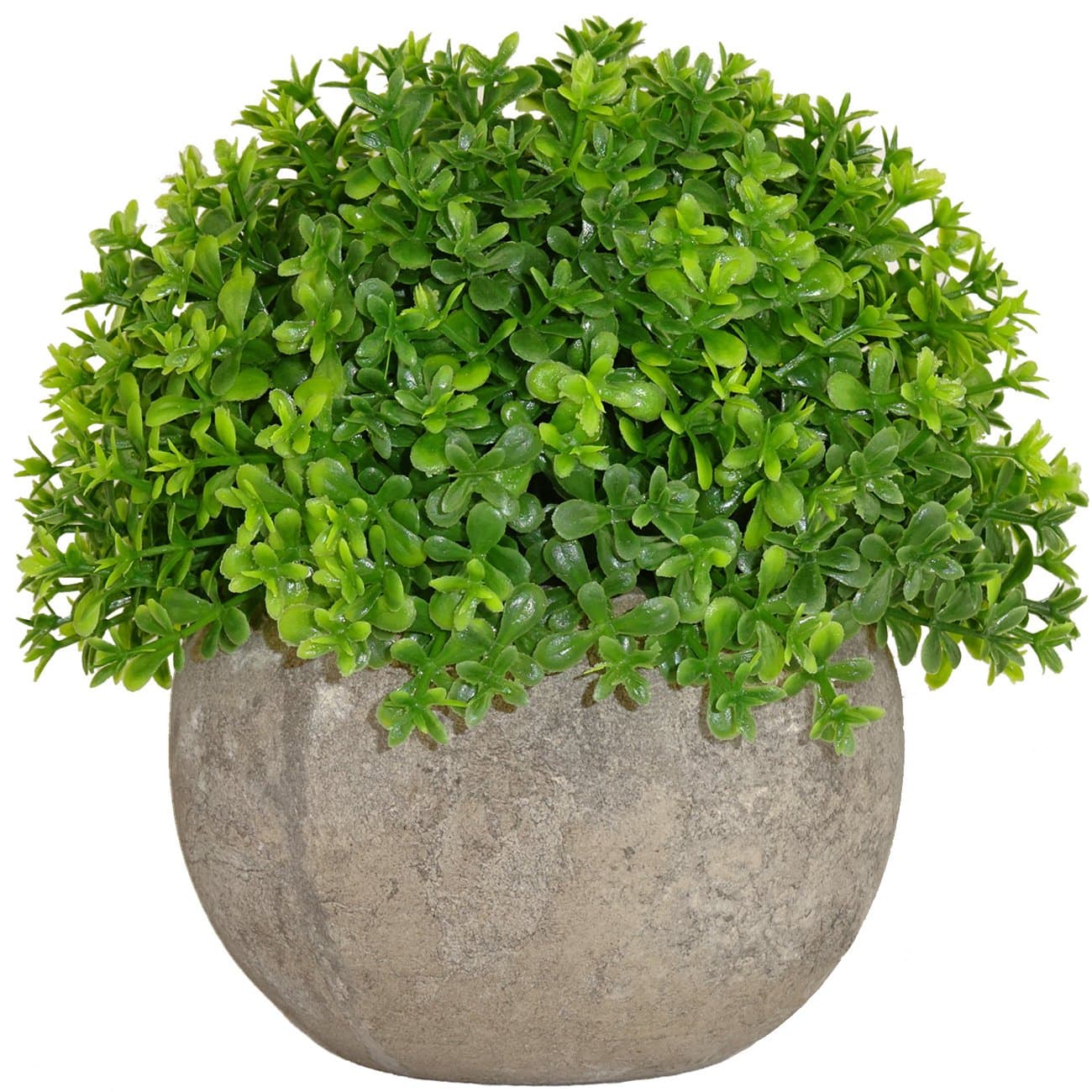 Small Artificial Topiary Plant in Pot, Baby's tears Grass Decoration, Fake Potted Plant for Office and Home Décor (Clover Green)