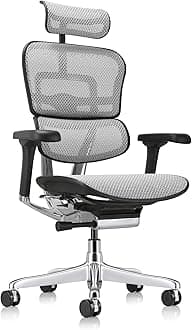 Ergohuman High Back Executive Chair with Headrest - Grey Mesh Seat and Grey M.