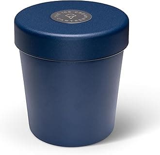 Vacuum Insulated Double Wall Stainless Steel Thermos Container for the pint of ice cream enjoy ice cream anywhere (Blueberry Blue)