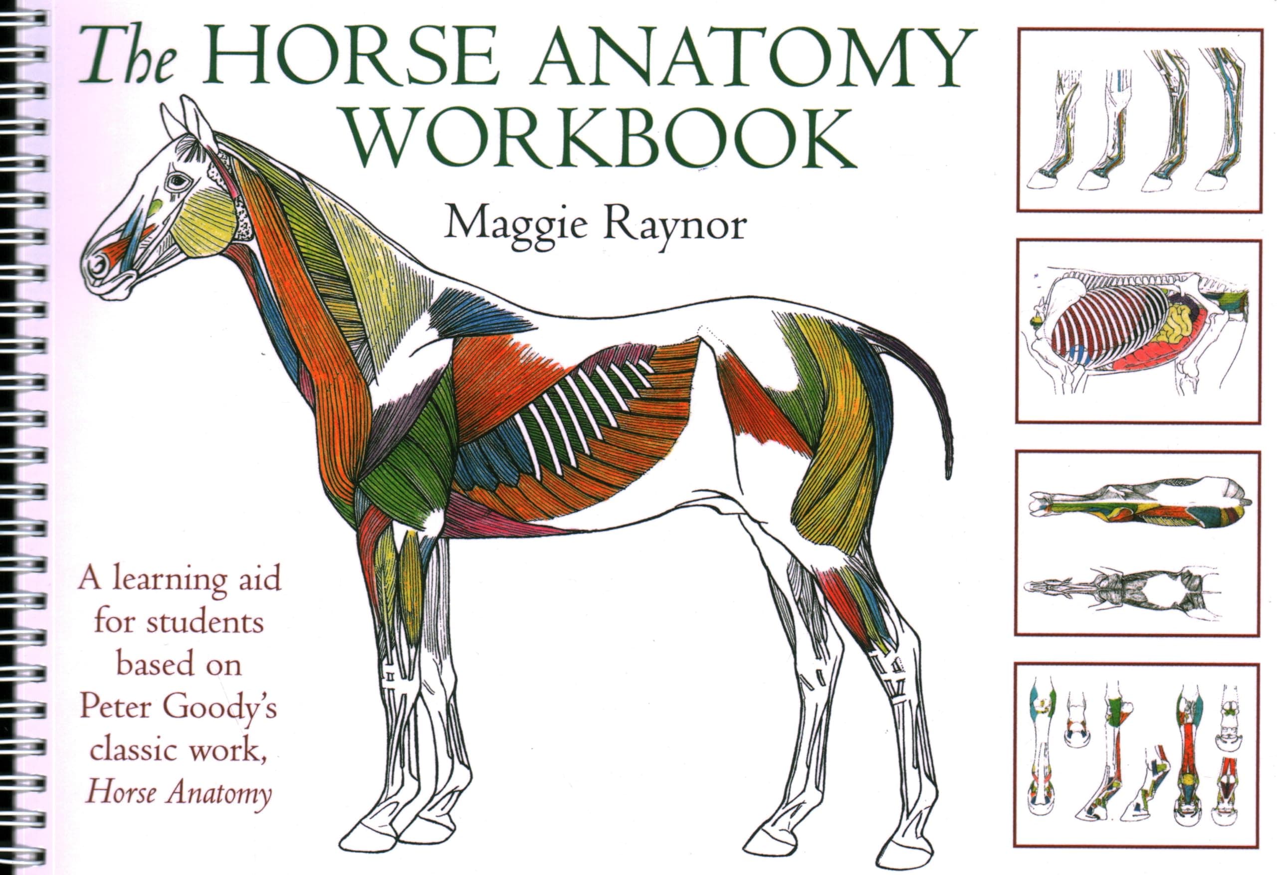 Ja Allen Horse Anatomy Workbook: A Learning Aid for Students Based on Peter Goody's Classic Work, Horse Anatomy