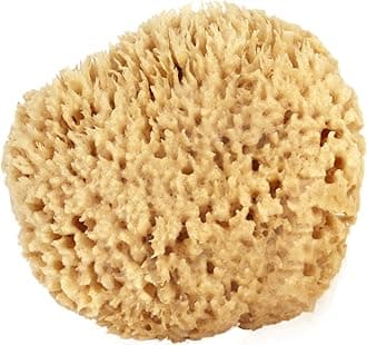 Sea Wool Sponge 5-6 (Large) by Ã‚ Natural Renewable Resource!