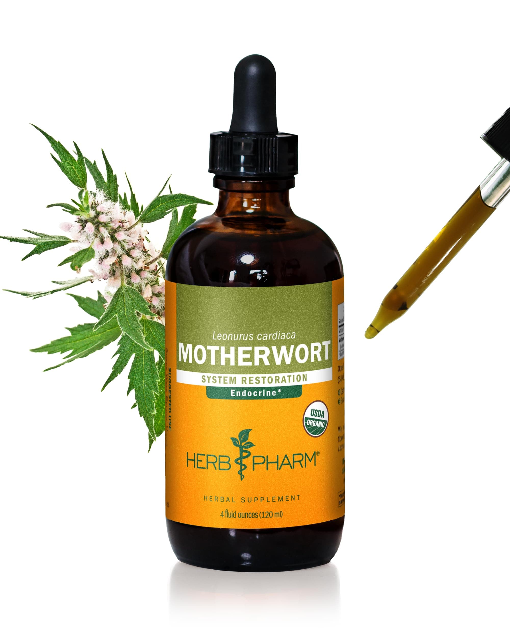Certified Organic Motherwort Liquid Extract for Endocrine System Support - 4 Ounce