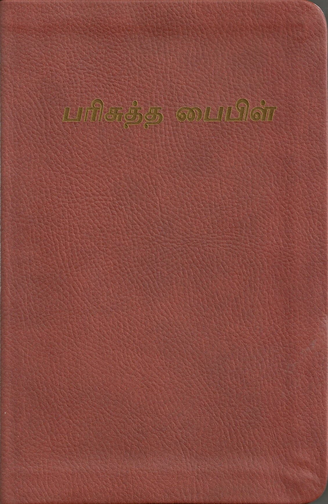 Tamil Holy Bible: Easy-To-Read Version (Tamil Edition)