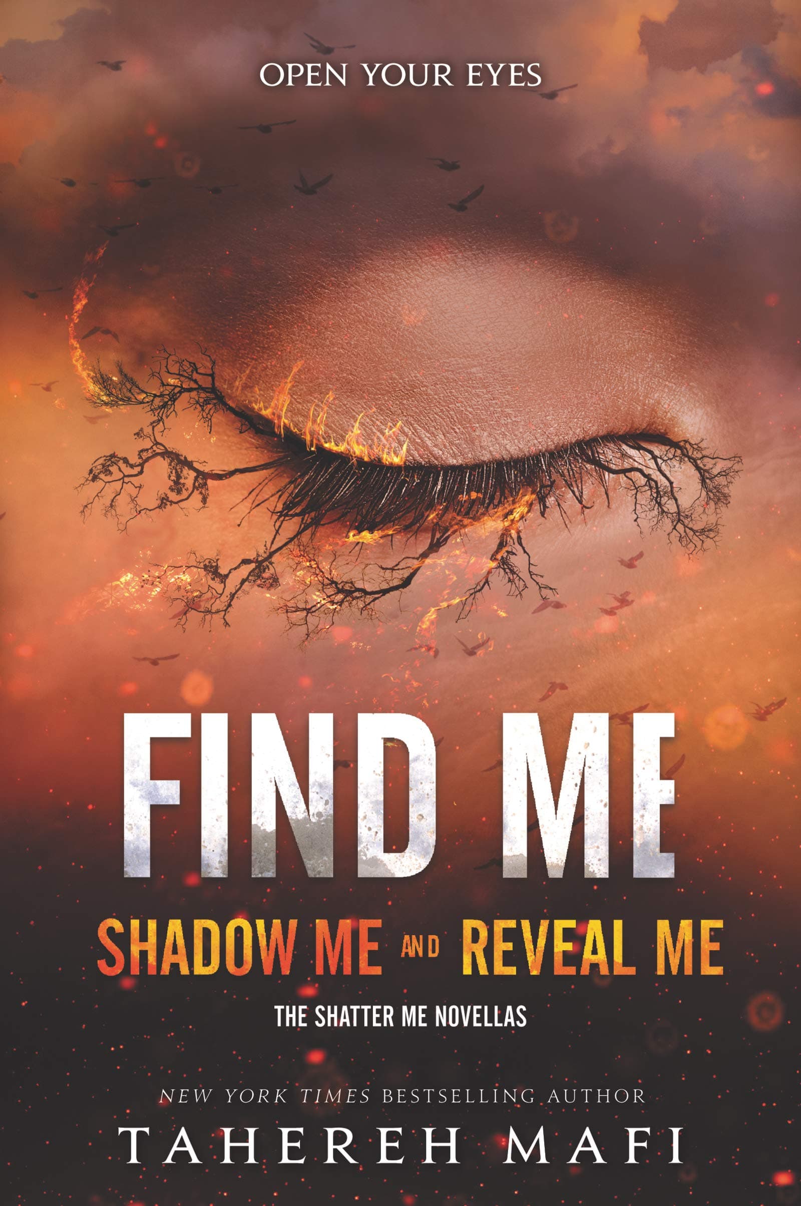 Find Me (Shatter Me: Series One, 10)
