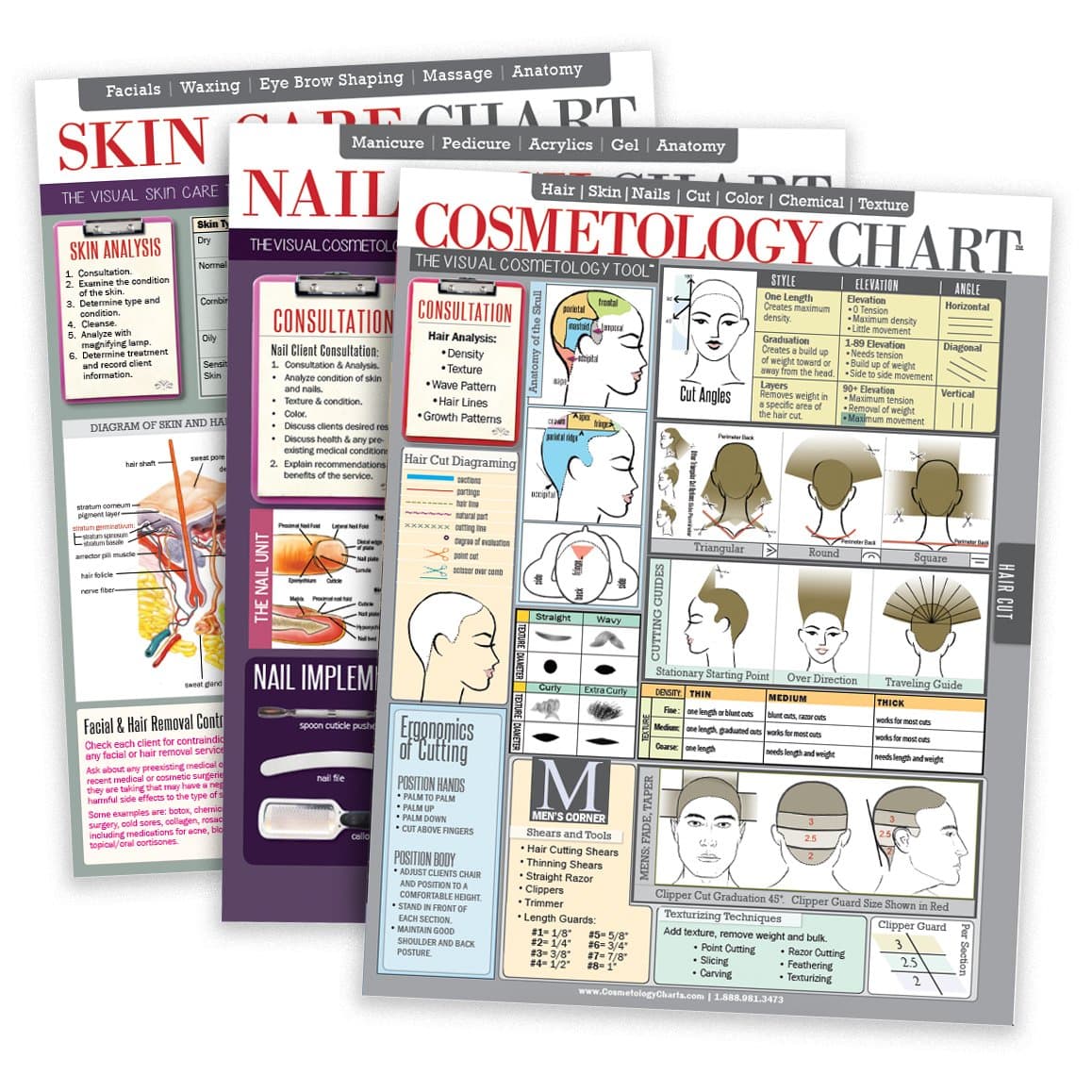 Salon Charts Bundle | Includes One Salon Cosmetology Chart, One Salon Skin Care Chart & One Salon Nail Tech Chart | High Gloss Lamination