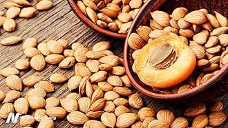 A D Food & Herbs Bitter Apricot Kernels Raw Unprocessed Fresh and Natural (100 GMS x Pack of 1)