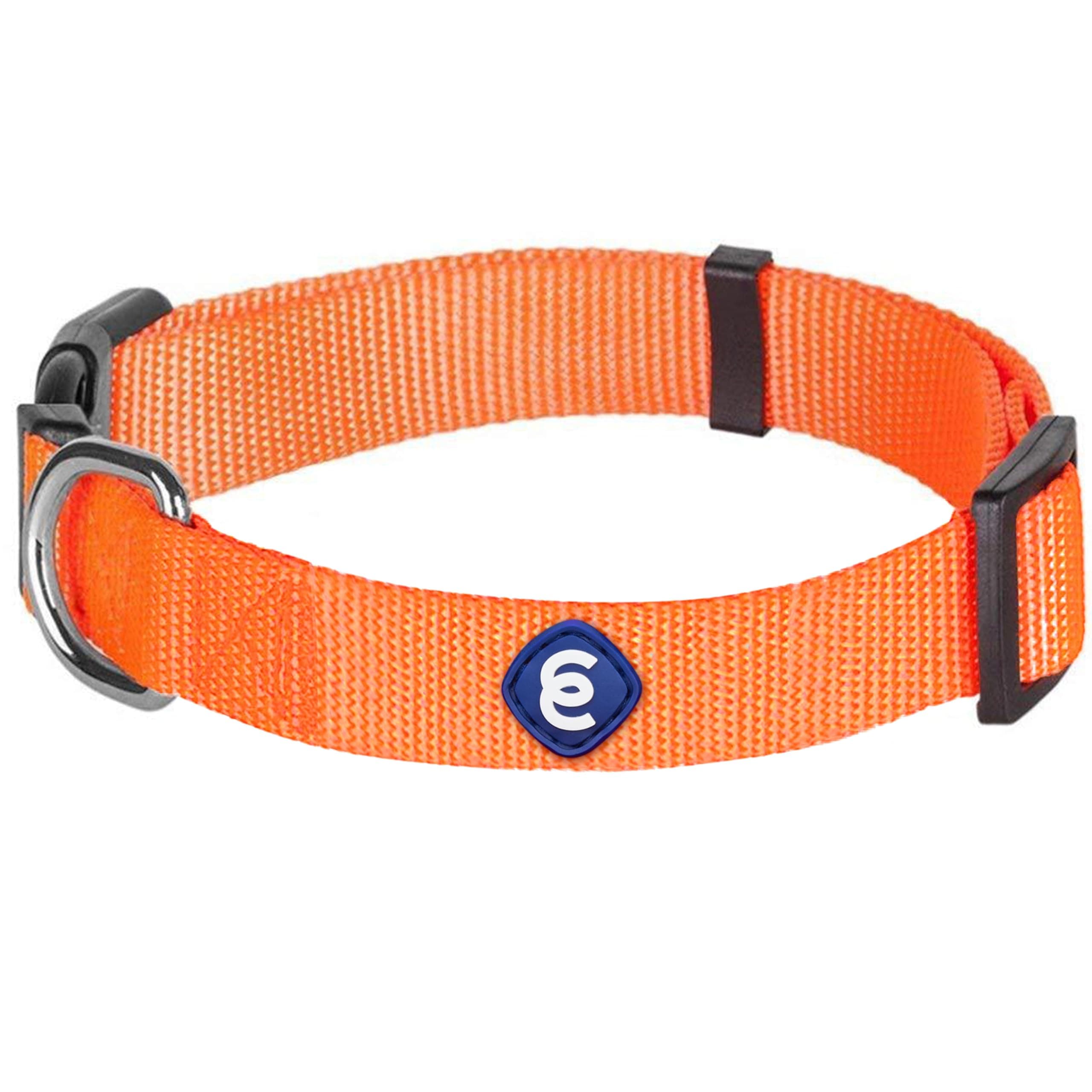 Blueberry Pet Essentials Florence Orange Adjustable Nylon Dog Collar for Small Dogs, Classic Solid Color Pet Safety & Style for Small Dogs