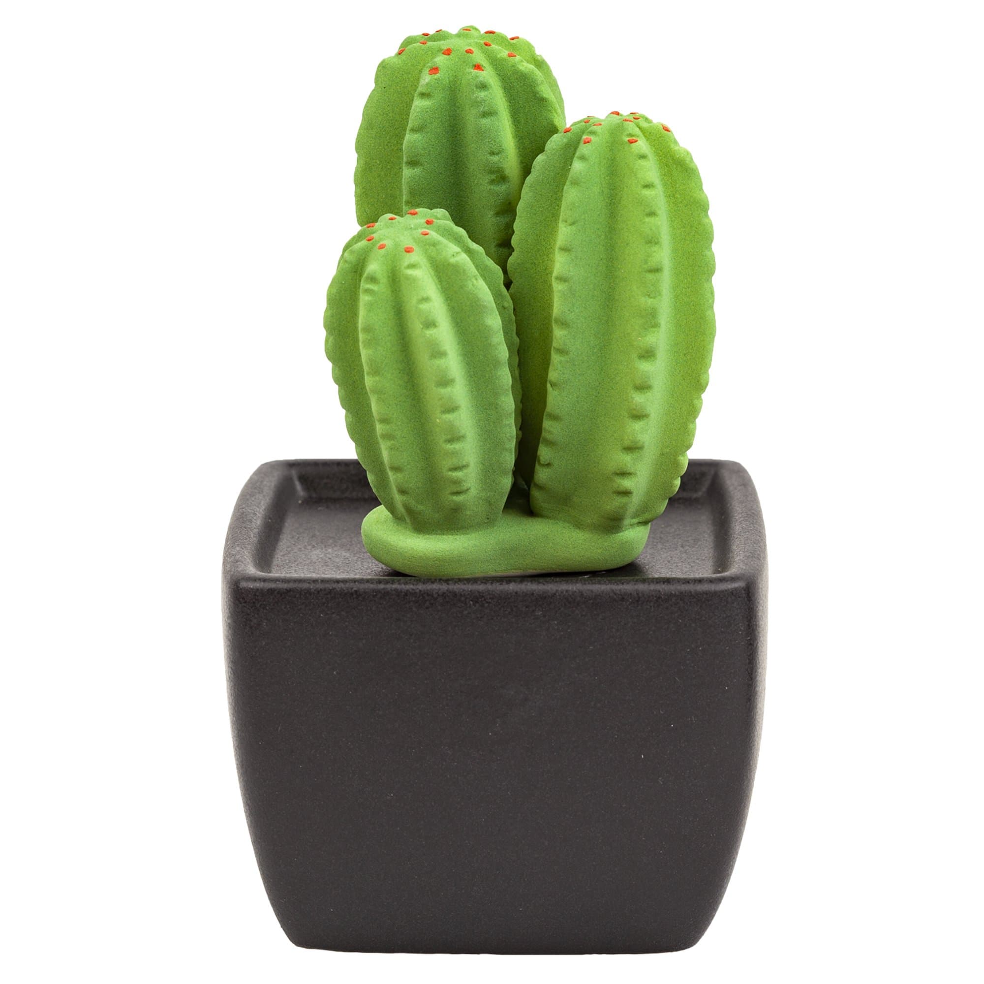 Tri Cactus, Non-Electric Ceramic Diffusers for Essential Oils and Aromatherapy Fragrance, White Ceramic Diffusers in Car or Desk Office Decor and Small Bathroom at Home, Black Vase