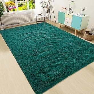 HOMORE Aqua Green Area Rug for Bedroom, Living Room and Kids, Soft and Cute, 4 x 6 ft, Modern and Home Decor