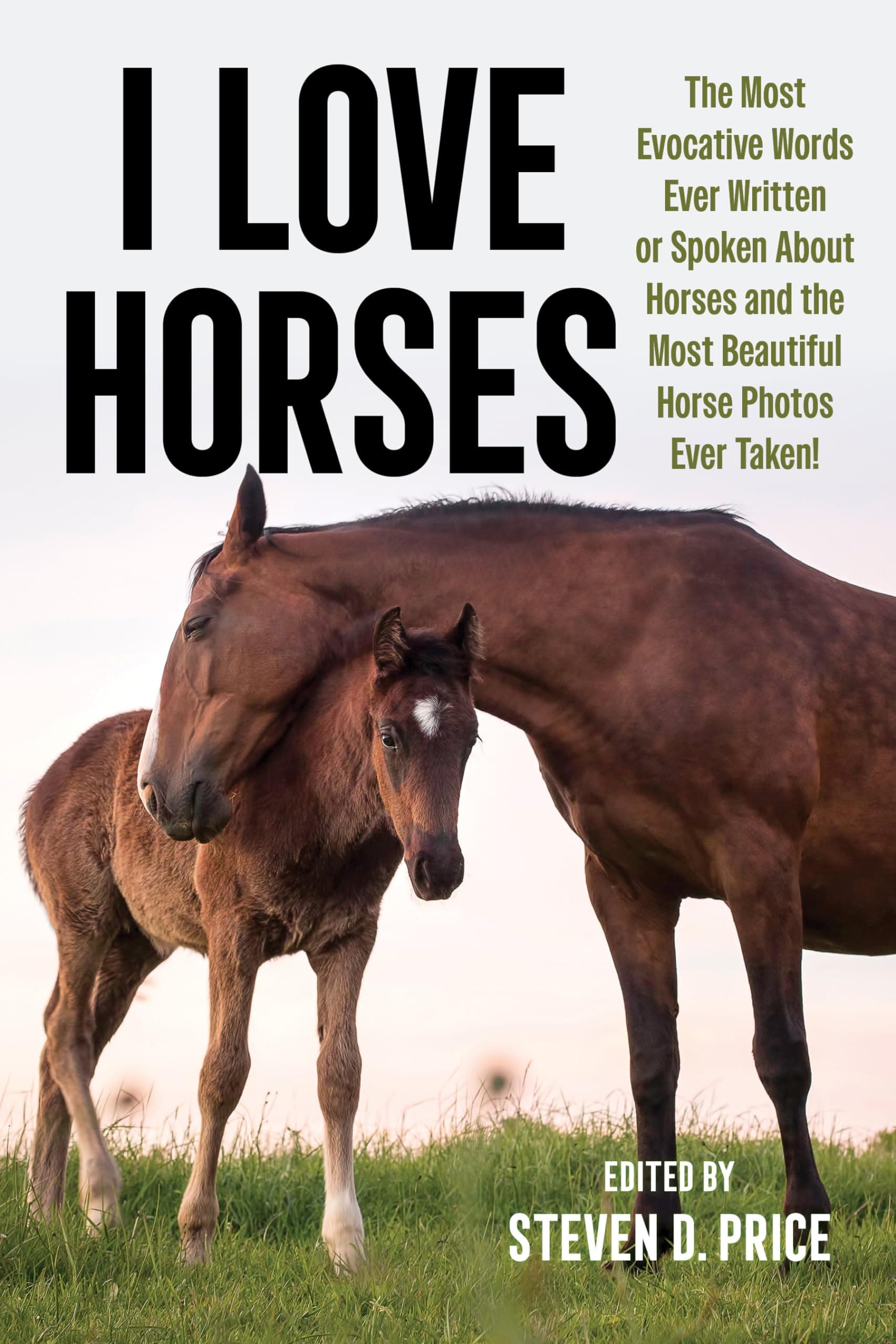 Steven D. PriceI Love Horses