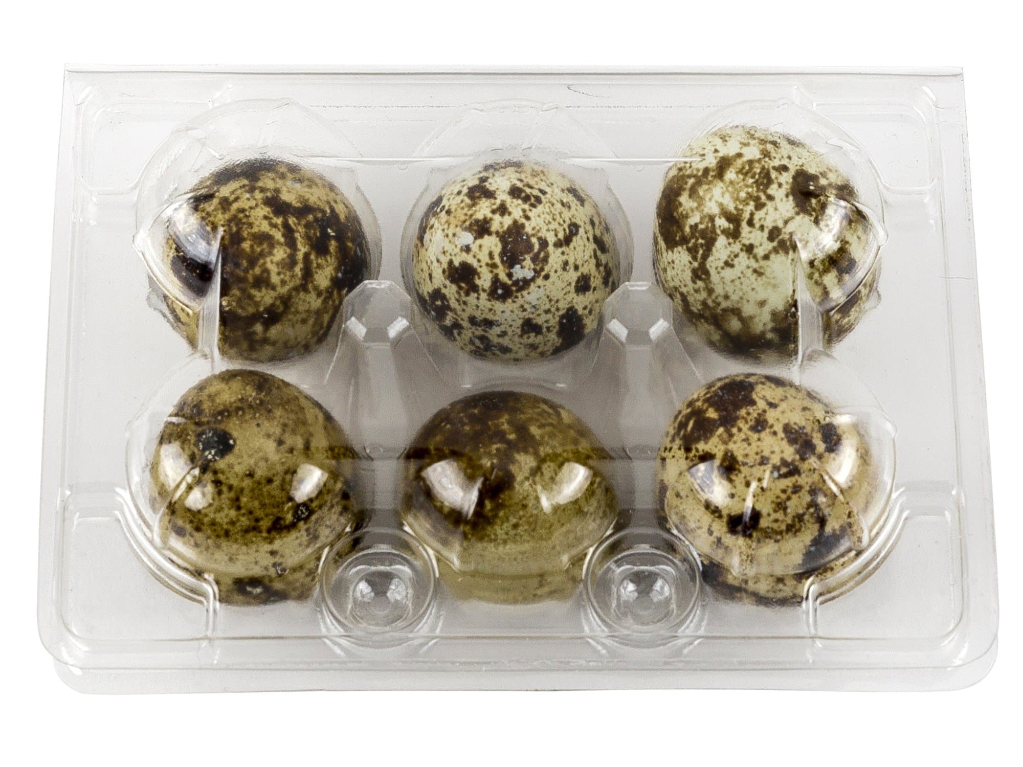 Plastic Quail Egg Carton Holds 6 Eggs Clear Tray Holds Half-Dozen Eggs (10-Pack)