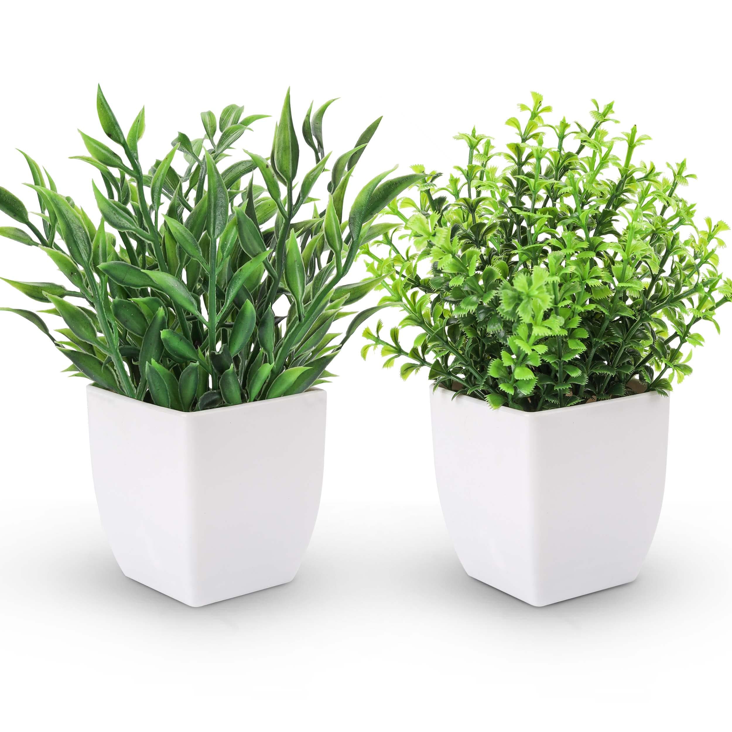 Der Rose2 Packs Small Fake Plants Artificial Greenery Eucalyptus Plants in Pots for Bedroom Living Room Decor