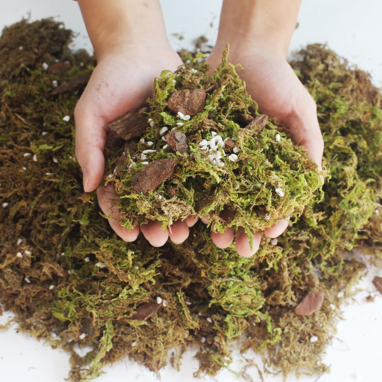 6QT Orchid Potting Mix with Moss Pine Bark Mulch Perlite & Coco Peat Natural Ingredients, Orchid Repotting Soil Medium Great for Indoor Plant Root Climbing & Expanding