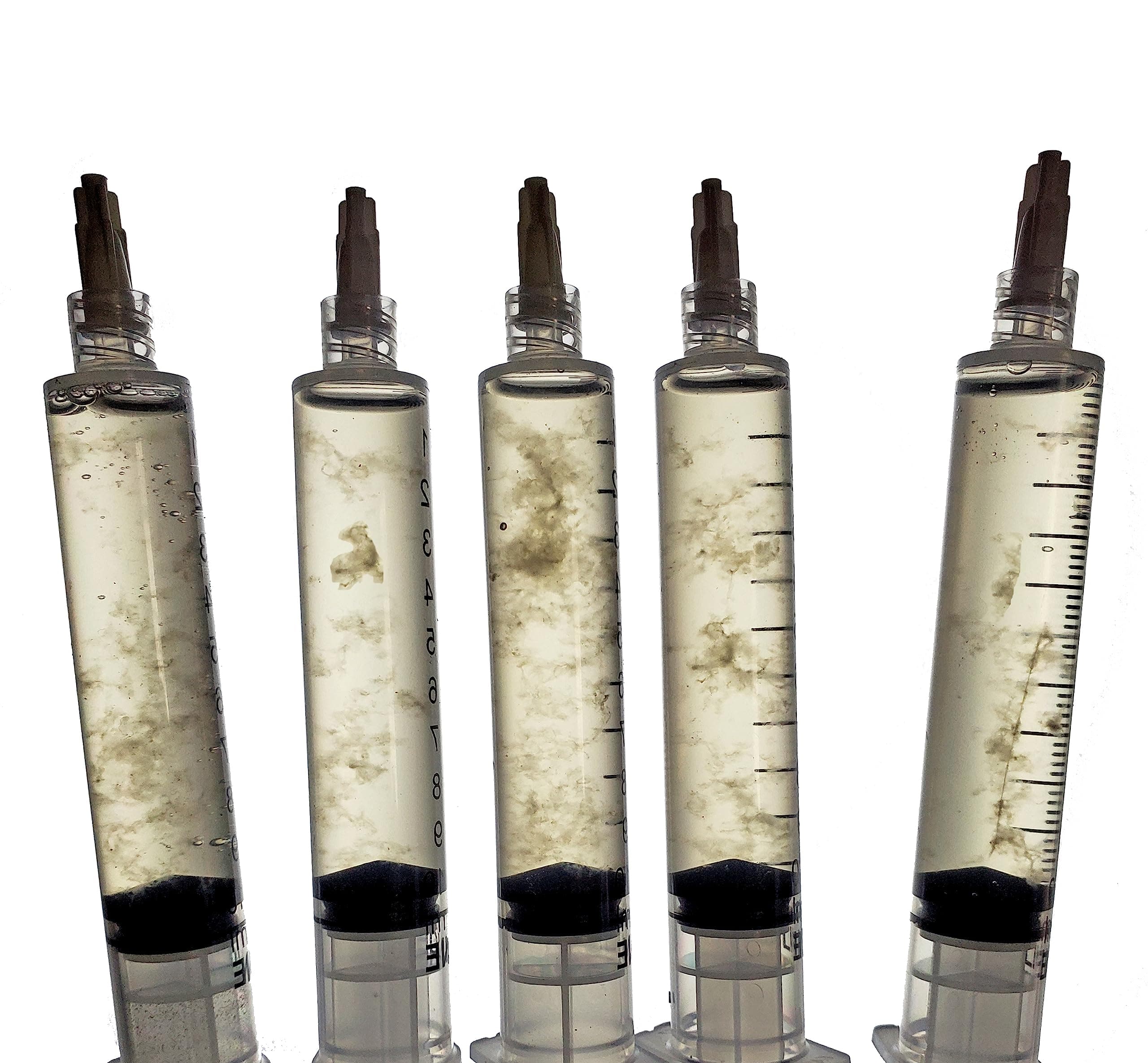 Mushroom Liquid Cultures - Live Mycelium (5 Pack Gourmet)