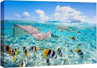 wall26 Canvas Print Wall Art Stingray & Striped Fish Under The Sea Nature Ocean Photography Realism Nautical Scenic Relax/Calm Multicolor Ultra for Living Room, Bedroom, Office - 24"x36"
