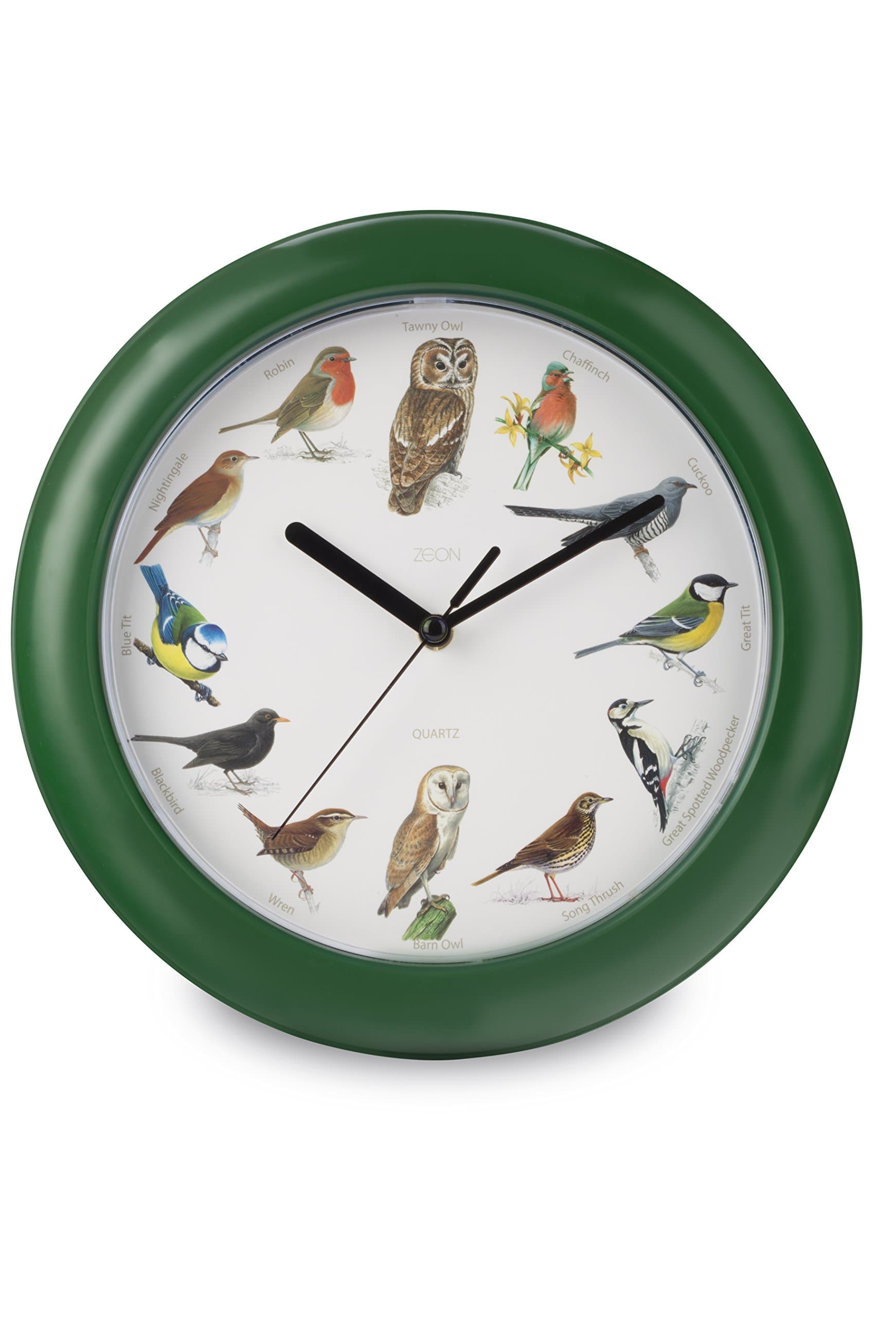 Birdsong Wall Clock, Green, 24 x 24 x 1 cm
