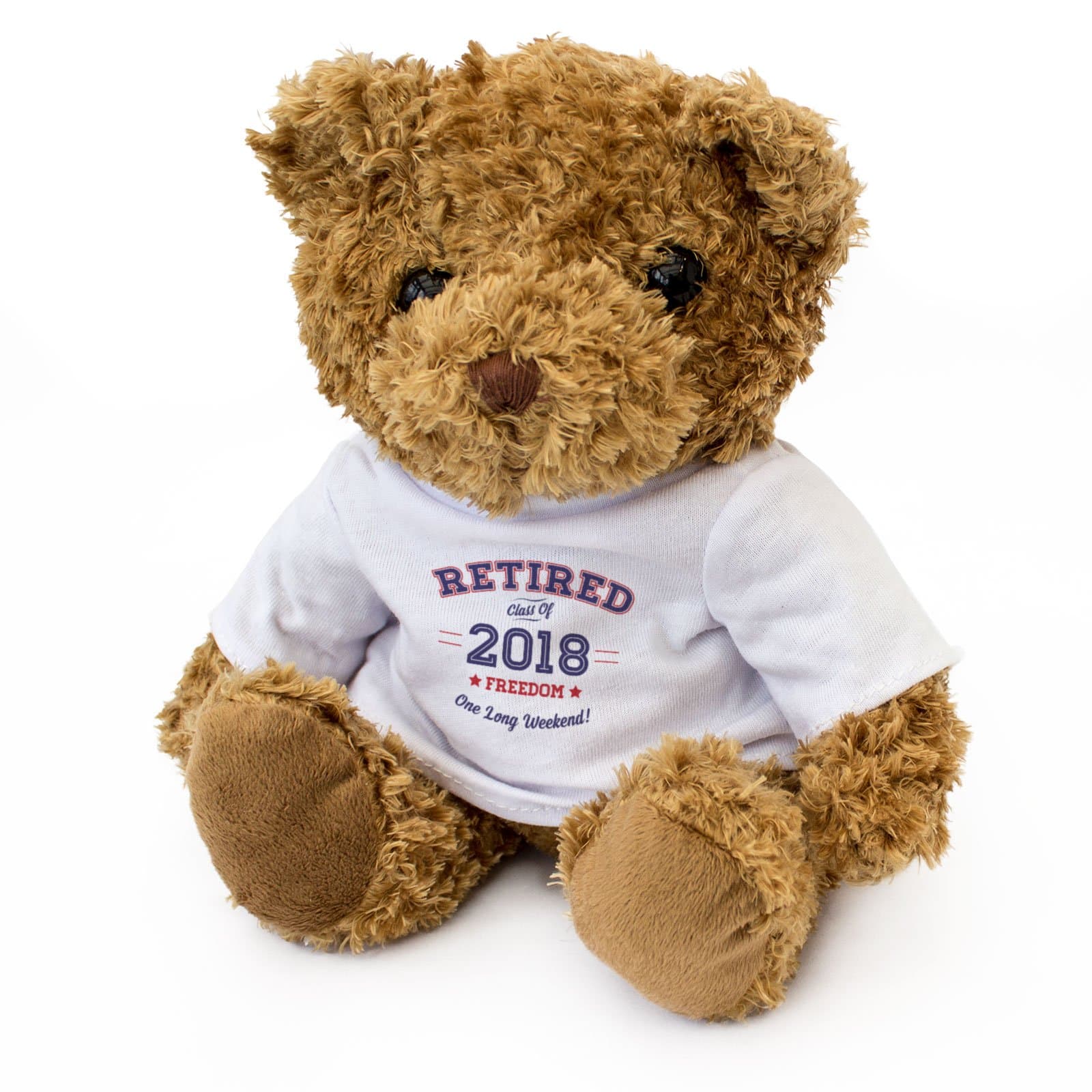 NEW - RETIRED 2018 - Cute Soft Cuddly Teddy Bear - Retirement Gift Present