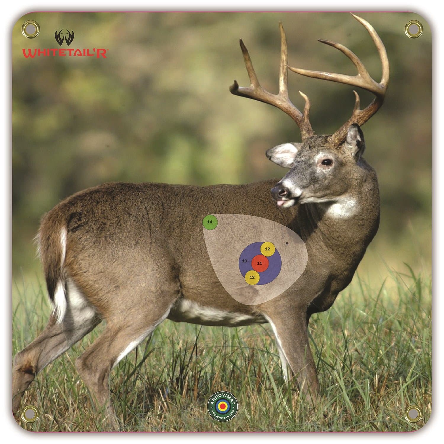 Arrowmat Big Buck Foam Rubber Target Face, 17 x 17-Inch