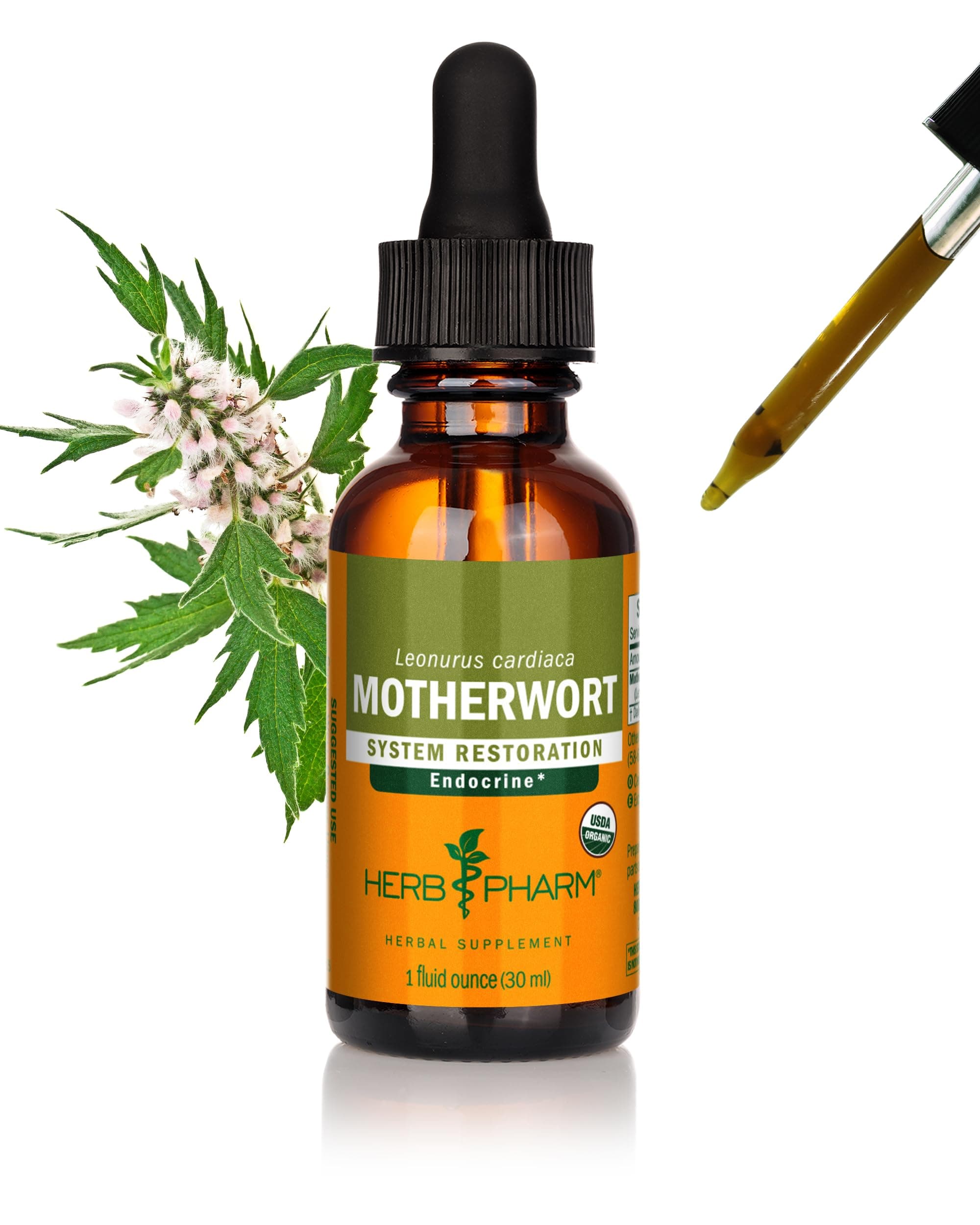 Herb Pharm Certified Organic Motherwort Liquid Extract for Endocrine System Support - 1 Ounce
