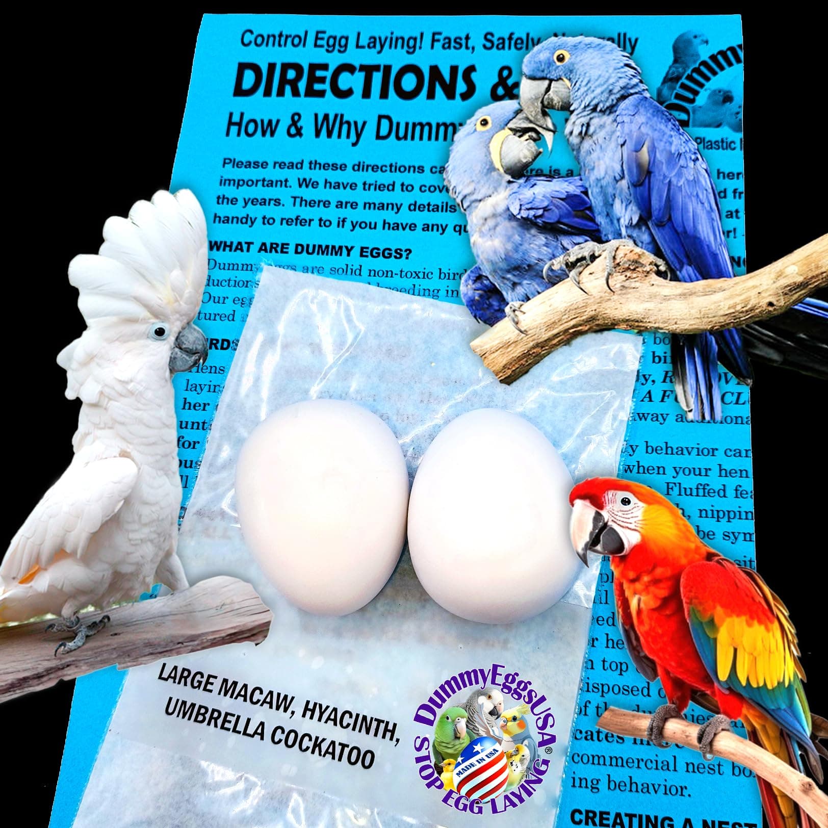 Plastic Large Parrot Eggs for Macaw & Cockatoo. 2 Dummy Solid Non-Toxic Fake Decoy Faux Mock Eggs 1-7/8" x 1-1/2" (4.8 x 3.8cm)