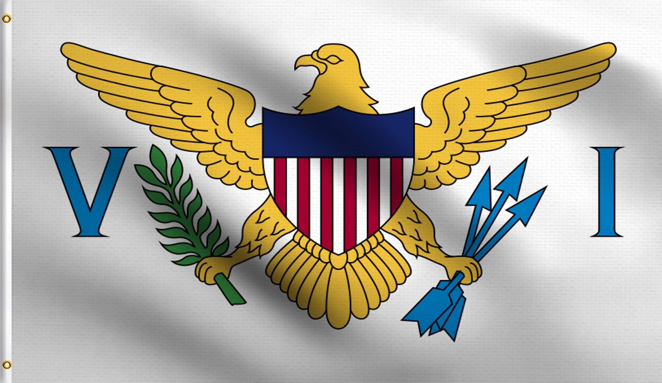 DMSE U.S. Territory Virgin Islands Caribbean St. Thomas Flag 2X3 Ft Foot 100% Polyester 100D Flag UV Resistant (2' X 3' Ft Foot)