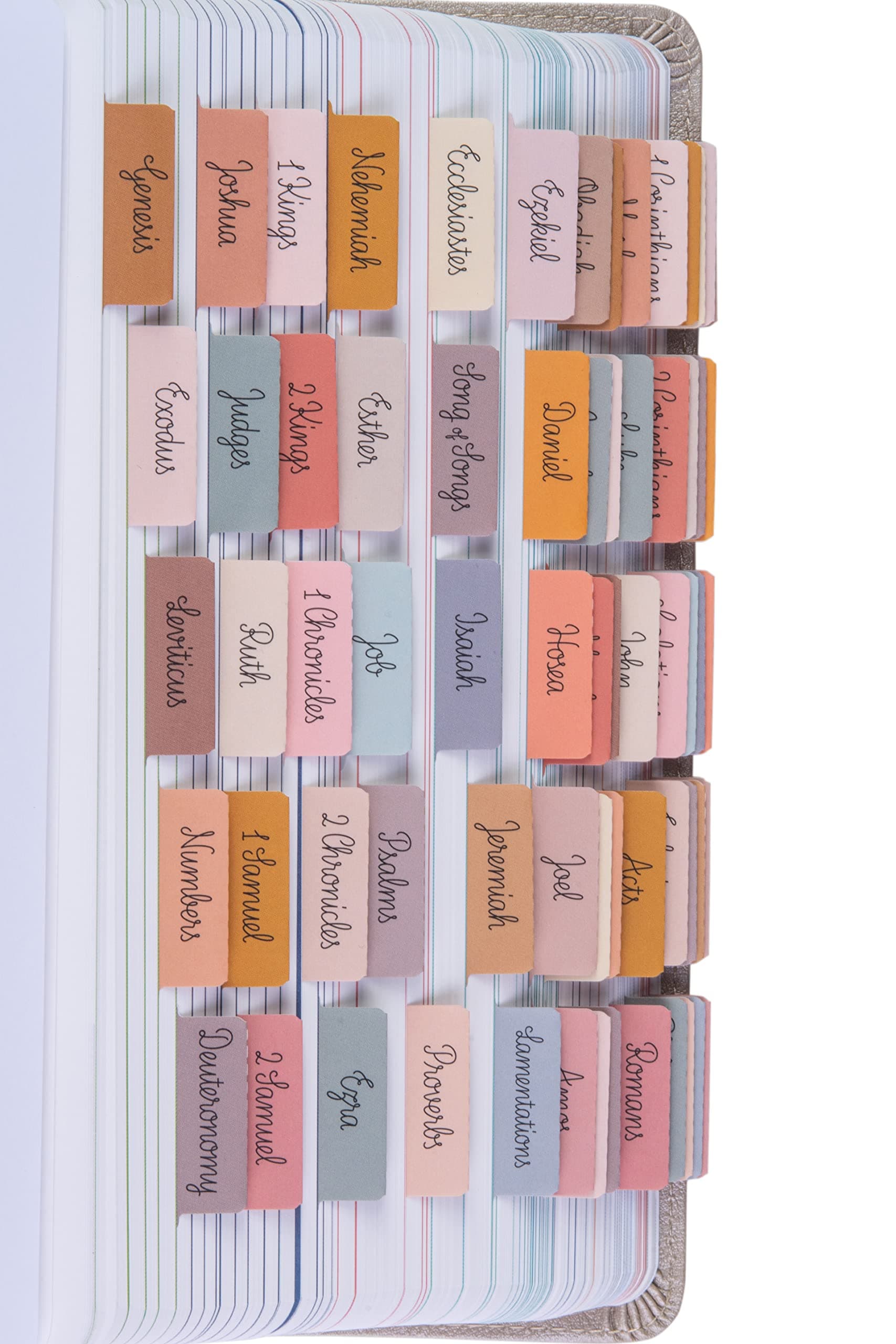 DiverseBee Laminated Bible Tabs (Large Print, Easy to Read), Bible Journaling Supplies, Bible Book Tabs, Christian Gift, 66 Bible Tabs Old and New Testament, Includes 11 Blank Tabs (Vintage)