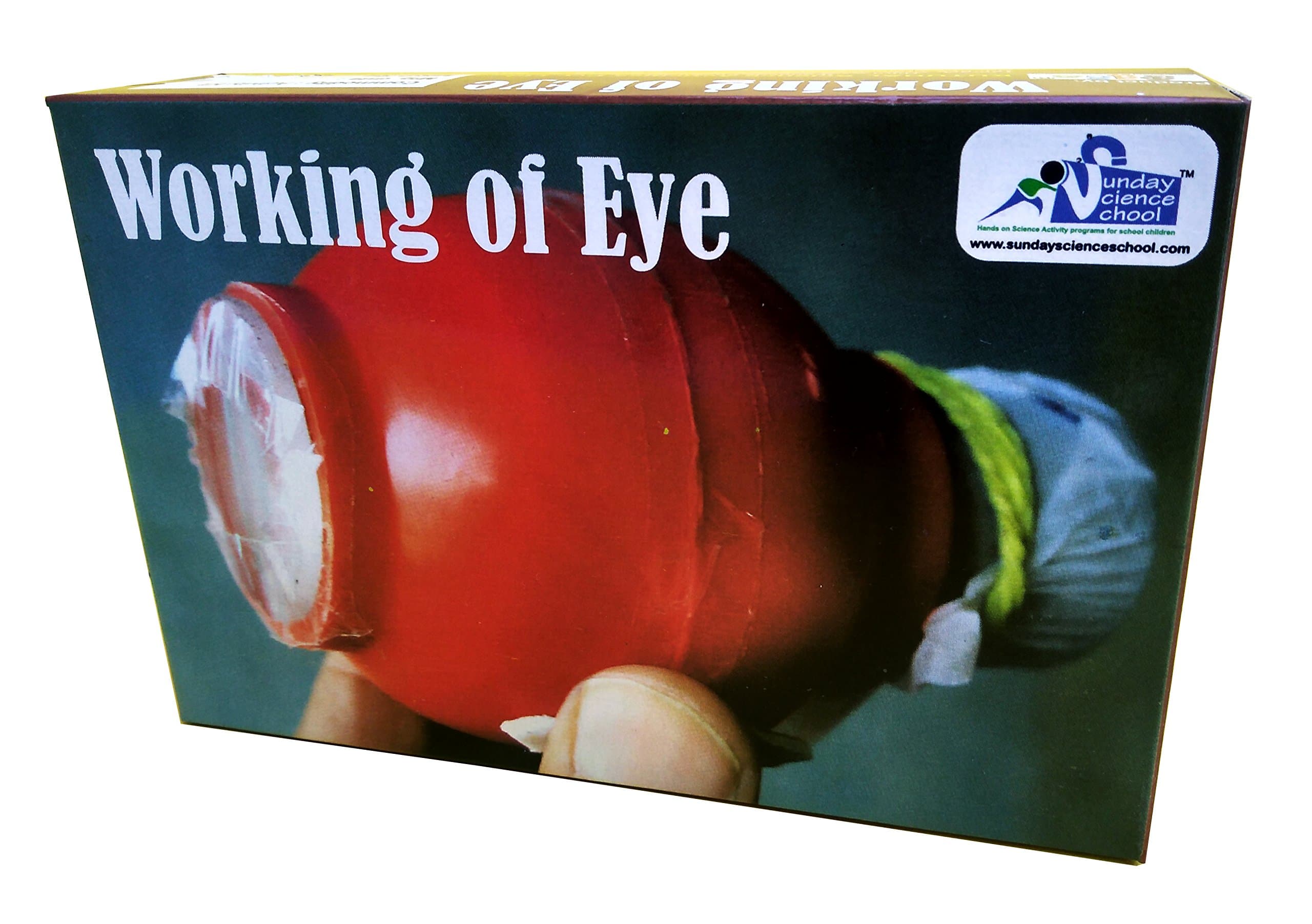 Kutuhal Working of Eye. Demonstration by Do It Yourself Working Model