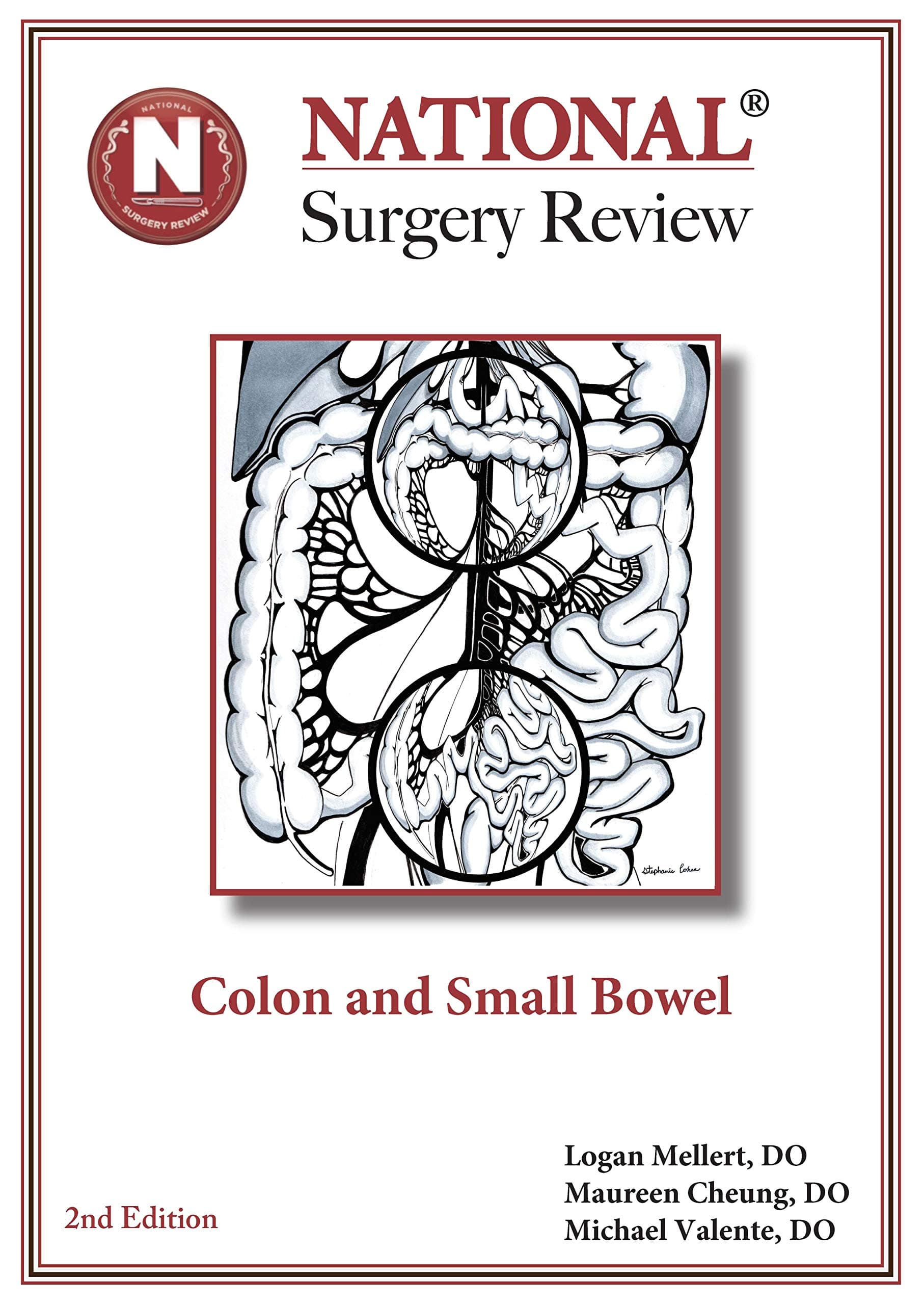Colon and Small Bowel (National Surgery Review)