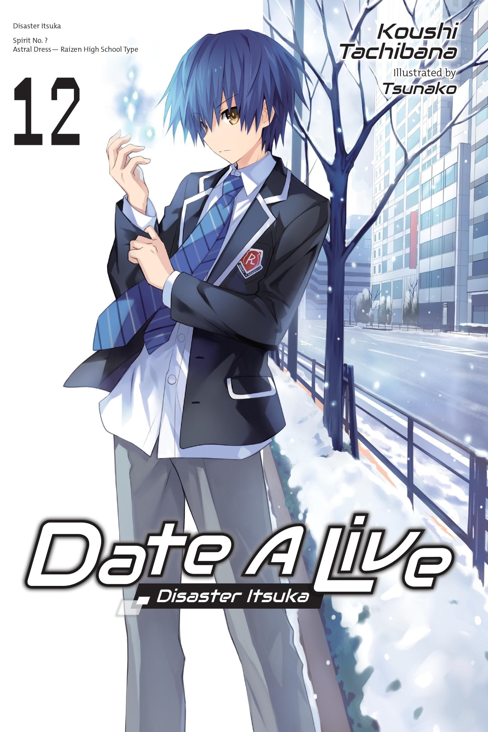 Date A Live, Vol. 12 (light novel) (Volume 12)