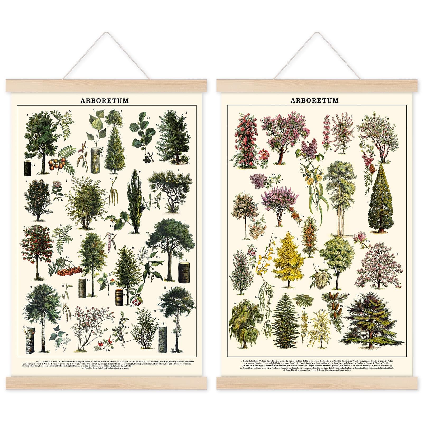 Chenkaiyang Vintage Tree Poster (2 Pcs), Green Tree Wall Art Prints, Rustic Retro Tree Chart, Living Room Decor