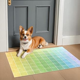 Mid Century Modern Ombre Green Checkered Rug 2x3, Retro Eclectic Colorful Rainbow Contemporary, Washable Small Area Rugs Non Slip Low Pile for Entryway Kitchen Bathroom Door Mat Indoor Entrance