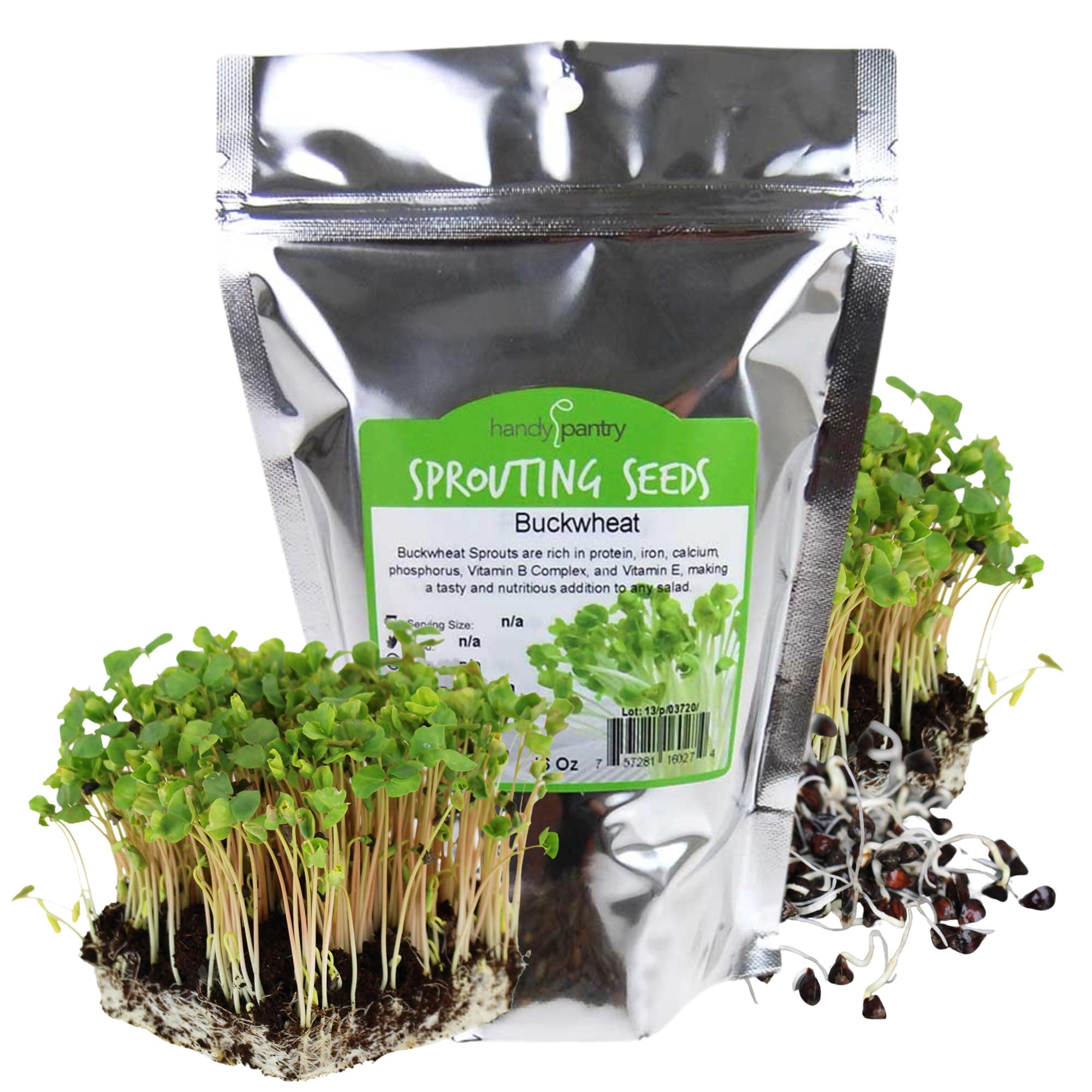 Bulk Organic Buckwheat Sprouting & Microgreens Seeds – 1 LB – Unhulled, Non-GMO – High-Germination Seeds for Fresh Sprouts, Nutritious Micro Greens, Hydroponic Growing, and Indoor Gardening