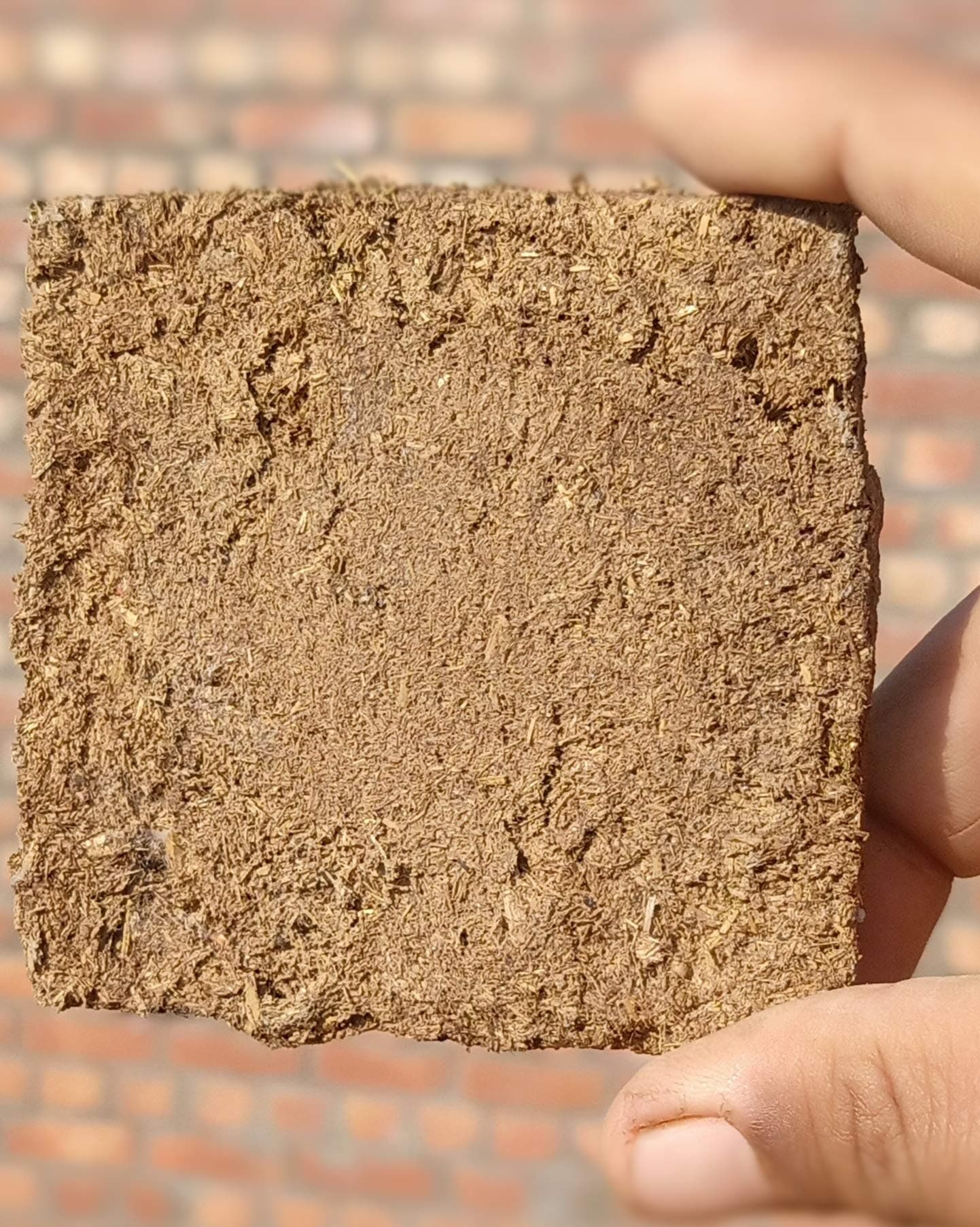 - Pure & Original Desi Cow Dung Cake (12)