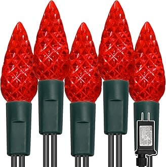 WATERGLIDE C6 Valentines Lights, 33ft 100 LED Faceted String Lights Green Wire Christmas Fairy Lights with 29V Adaptor, 8 Lighting Mode, Waterproof for Indoor Outdoor Patio Xmas Tree Party Decor, Red