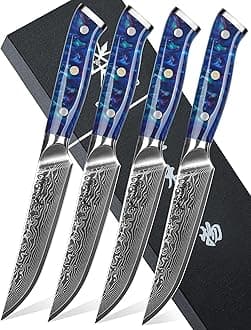 Steak Knives Set of 4, Ultra Sharp Non Serrated Kitchen Steak Knife 5 Inch - Damascus Steel & Resin Handle - Xuan Series (Sapphire Blue)