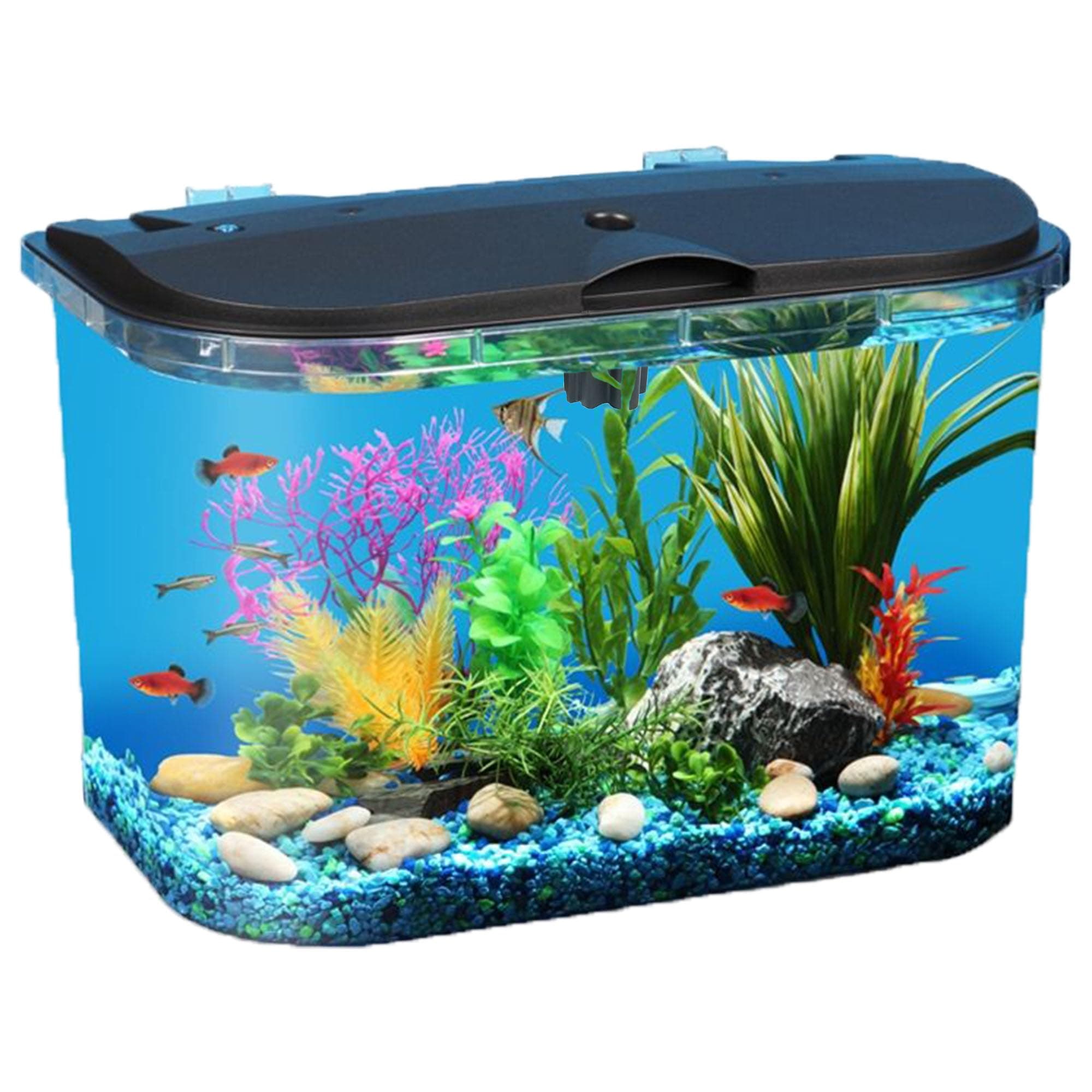 Koller Products 5-Gallon Aquarium Kit with LED Lighting and Power Filter, Ideal for a Variety of Tropical Fish