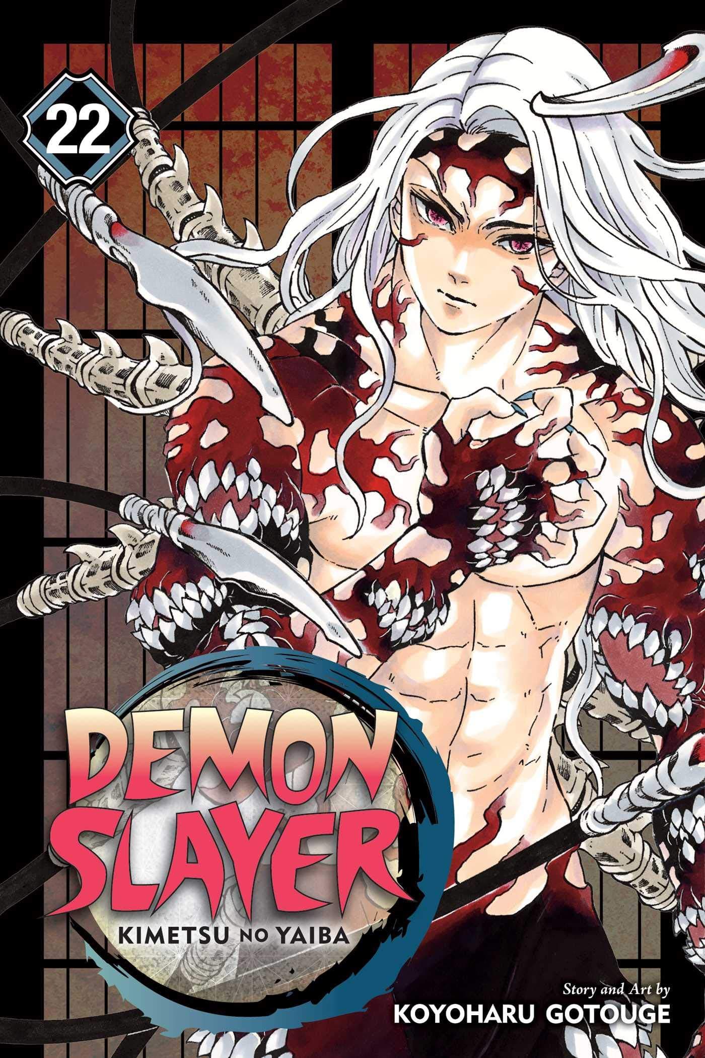Demonslayer : Kimetsu No Yaiba, Vol. 22