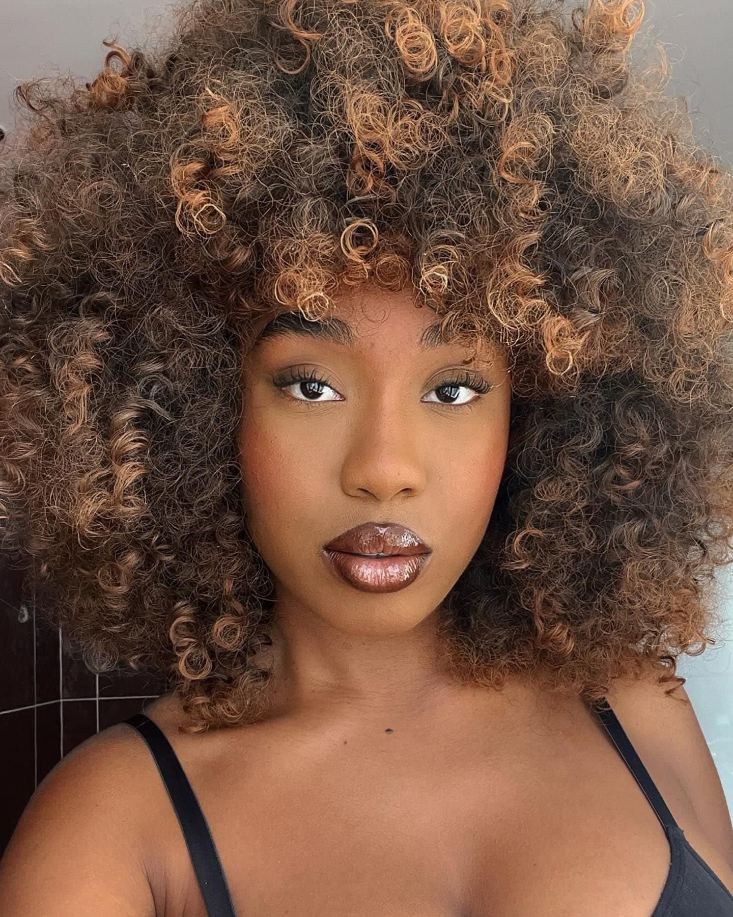 Ombre Brown curly wig