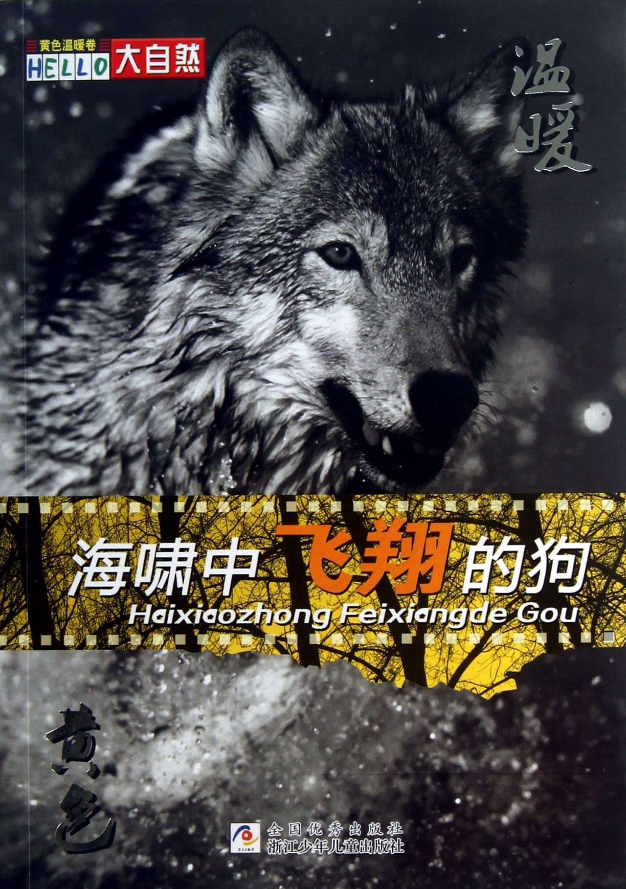Flying Dog in Tsunami (Chinese Edition)