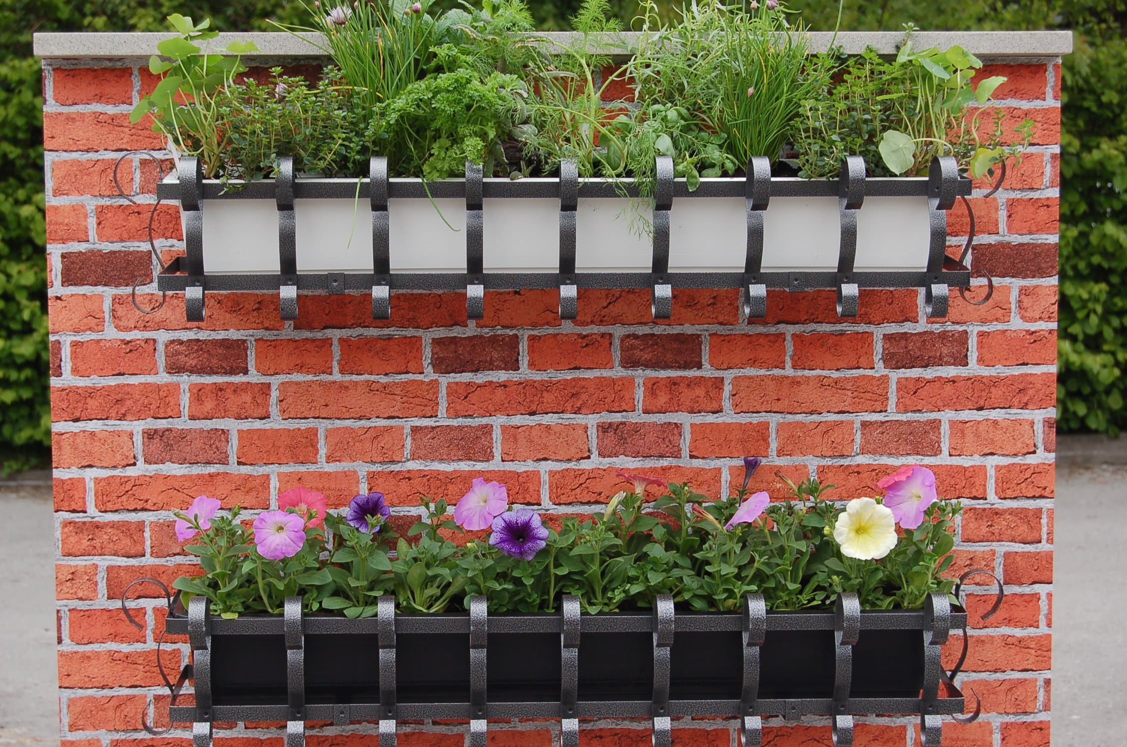 Agralan MWBW 100 cm Wall Mounted Decorative Window Box with White Insert