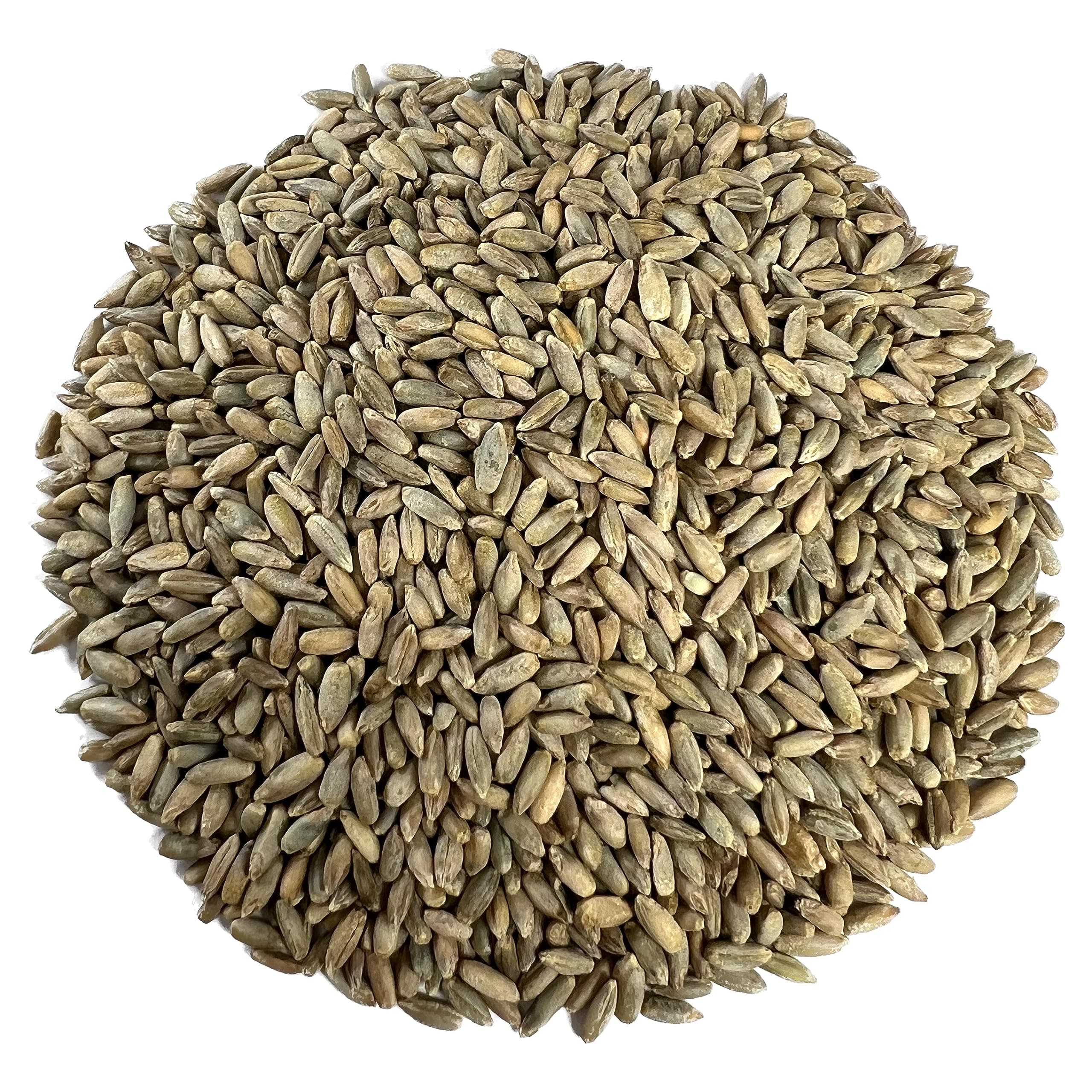 100% Organic Rye Berries, Non-GMO, Kosher, Raw, Bulk Seeds, Product of the USA (5 lb)