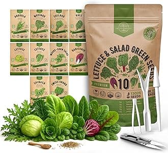 Organo Republic 10 Lettuce & Salad Greens Seeds Variety Pack 13000+ Non-GMO Heirloom Lettuce Seeds for Planting Indoors & Outdoors Garden, Hydroponics - Arugula, Radicchio, Kale, Spinach, Swiss Chard