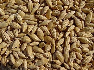 Barley 18 Lbs, Unhulled Barley (Hull Intact), Joseph's Grainery Whole Grain Barley, Non-GMO, Kosher Certified