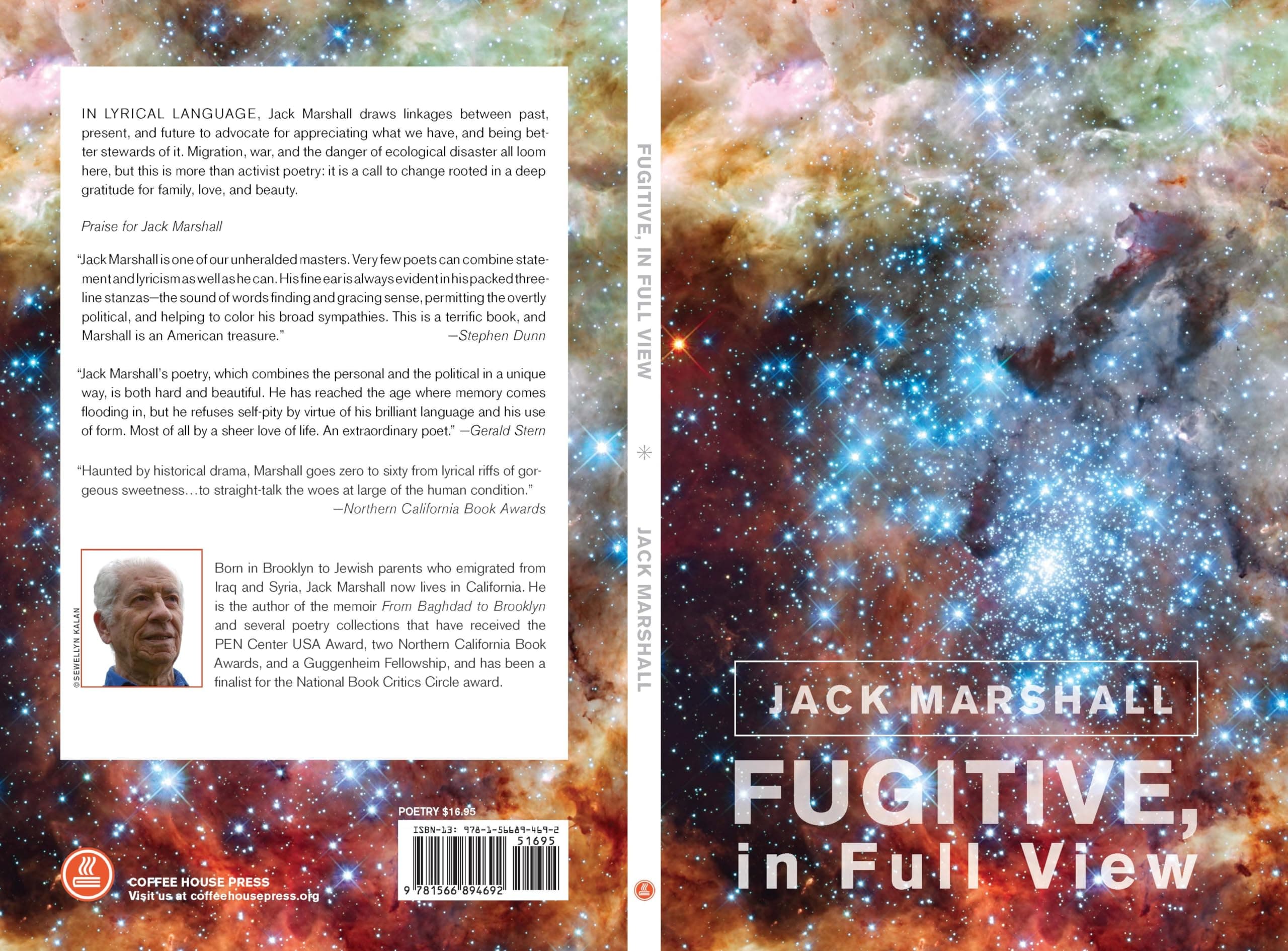 Fugitive, in Full View Paperback – 13 June 2017